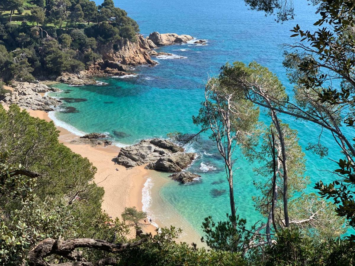 Apartments Paradise Lloret Lloret de Mar Esterno foto